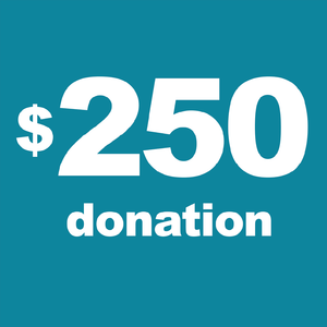 $250 donation